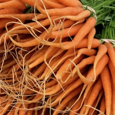 This Week at the RFM (Wed June 19 & Sat June 22)