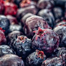 This Week at the RFM: July 23, 2020