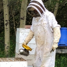 Vendor Spotlight: Zee-Bee Honey