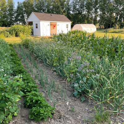 4 acre field