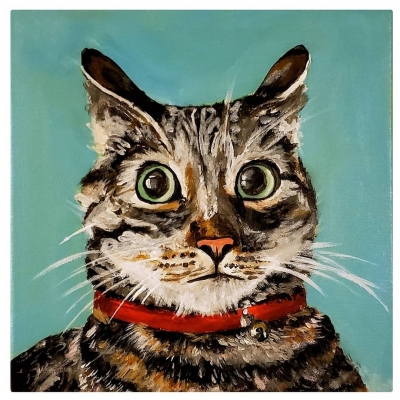 zuhal cat