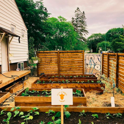 City Street Farms in Practice