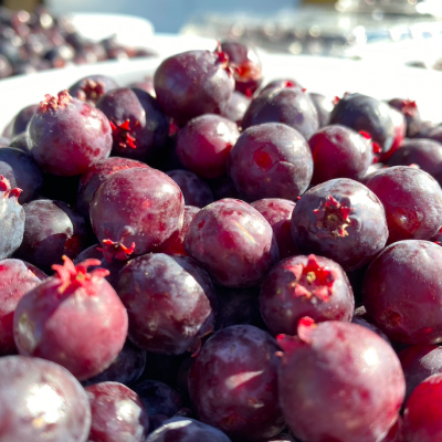 Saskatoons
