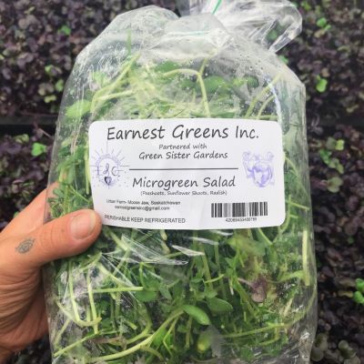 Microgreen Salad