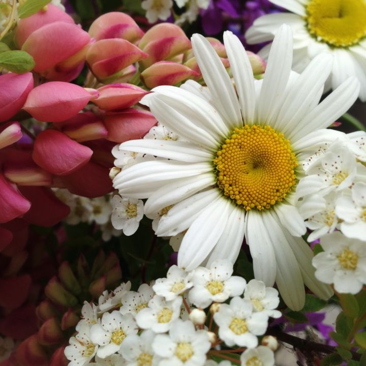 S & S Vegetables and Flowers