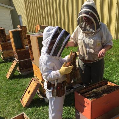 Busy Bees