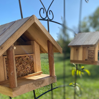Pollinator House