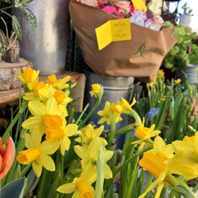 Daffodils