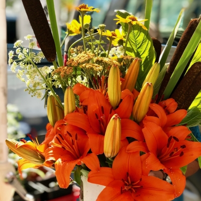 Lilies