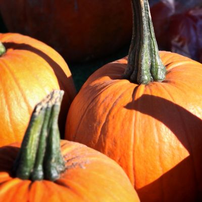 Pumpkins