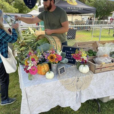 Valley Roots Display