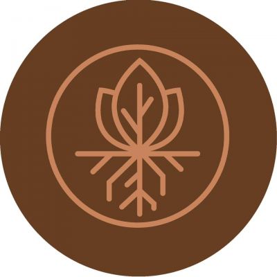 Valley Roots Logo