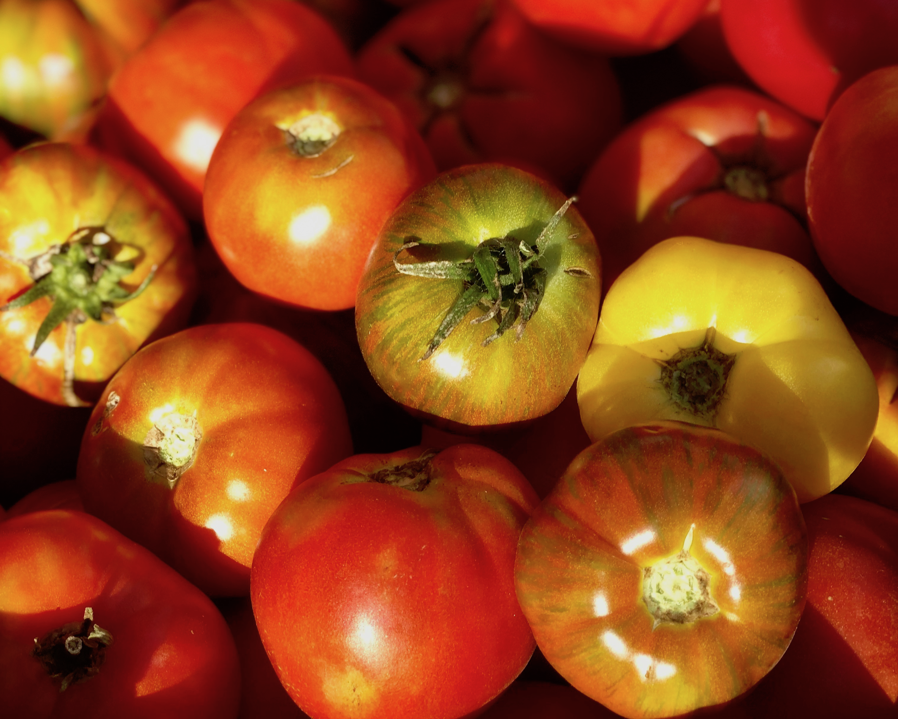 Outdoor Farmers' Market